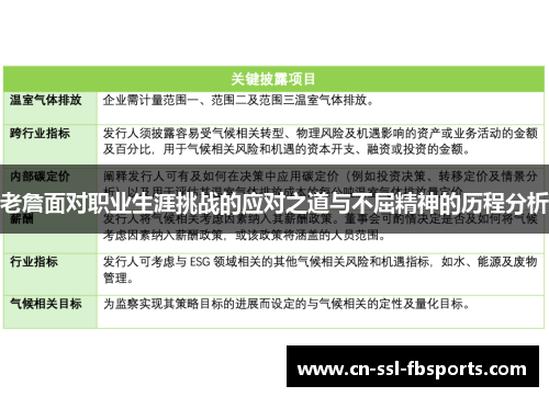 老詹面对职业生涯挑战的应对之道与不屈精神的历程分析