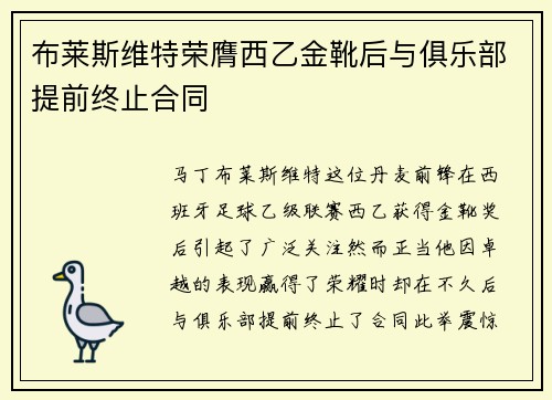 布莱斯维特荣膺西乙金靴后与俱乐部提前终止合同